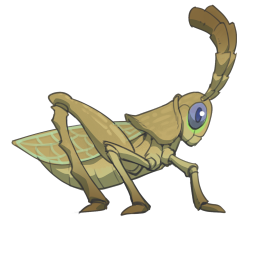 Grilo-do-Campo Comum