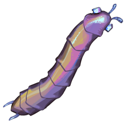 Centopeia cintilante