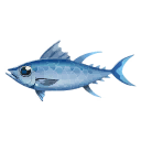 Blauflossen-Thunfisch