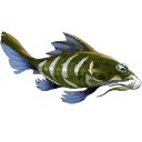 ストーキングナマズ