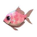 バハリブリーム