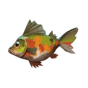Painted Perch