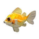 ラディアントマンボウ