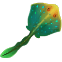 거대 킬리마 가오리