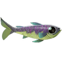 Poisson-chiot enchanté