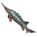 シマシマチョウザメ